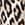 Show Animal Print for Product